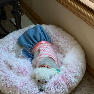 Meet your Posher, Sandra